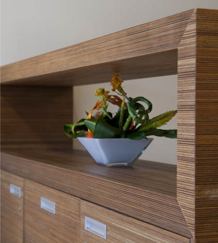 Plexwood® De Meeuwbeemd Nursing Home see through cabinet detail with doors in ply-type meranti strip veneer