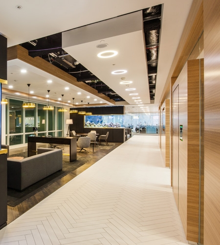 Plexwood® The Mako Group Offices sideview of door in beech architectural inverse plywood top veneer