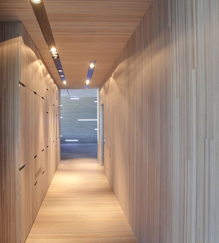 Plexwood® Professional design paneling with an upright plywood surface veneer, for interior architecture