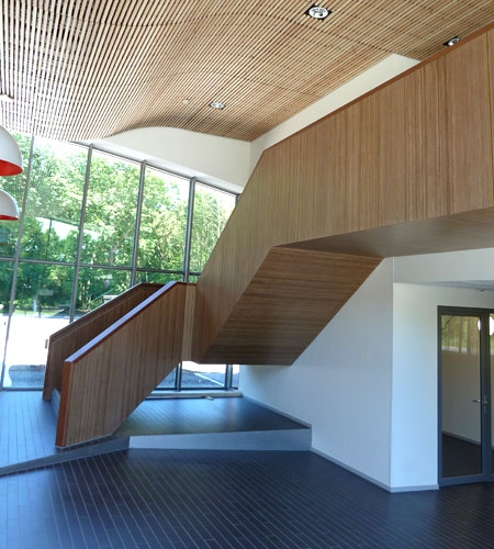 Plexwood® Parnassia Mental Hospital bespoke woodwork hallway staircase and balustrade in plytype meranti veneer