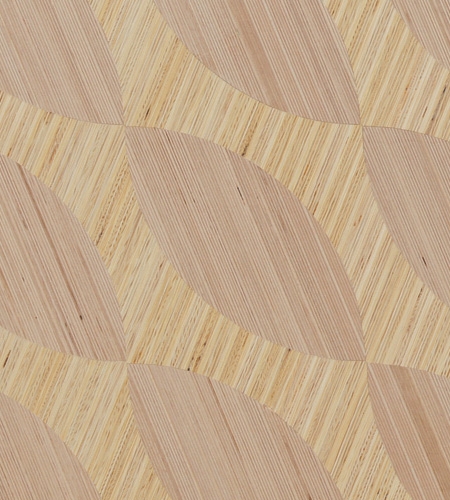 Plexwood® - Skins, by Frank Heerema