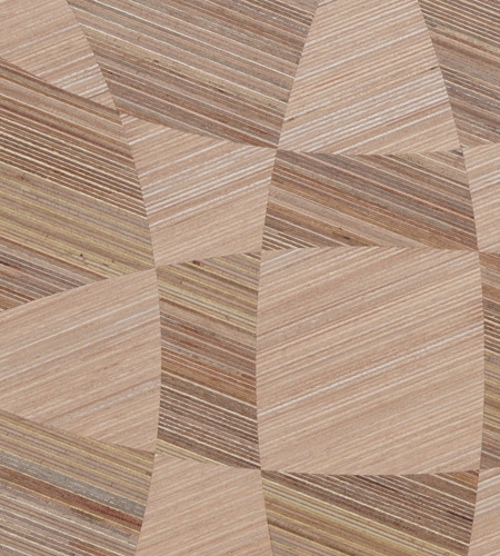 Plexwood® - Skins, by Frank Heerema