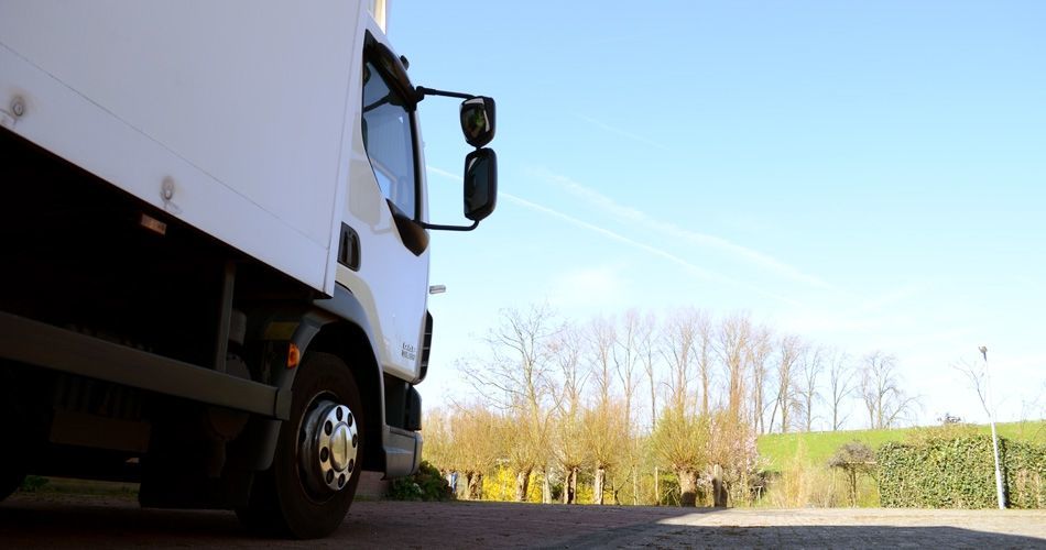 Plexwood® Additional information about ordering, import, transport and payment online 24/7 