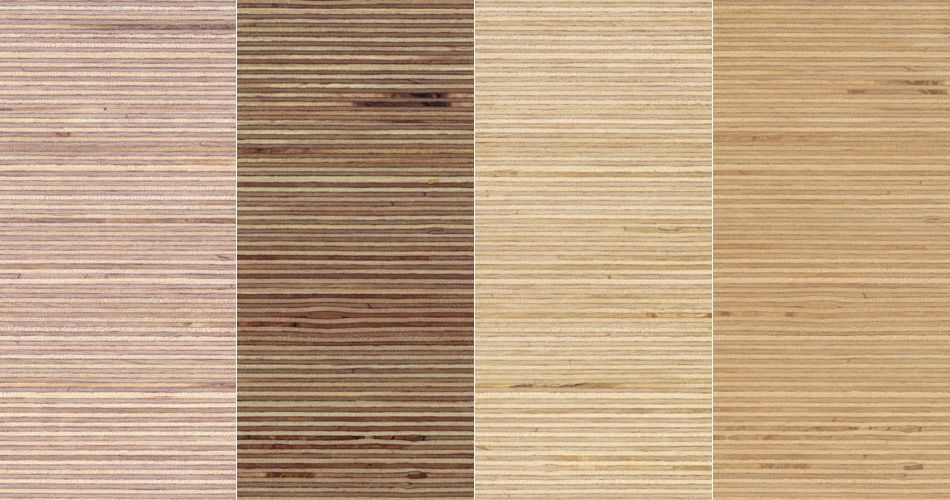 Plexwood® Birch noble sandwiched composite plywood surface veneer for hardwood applications