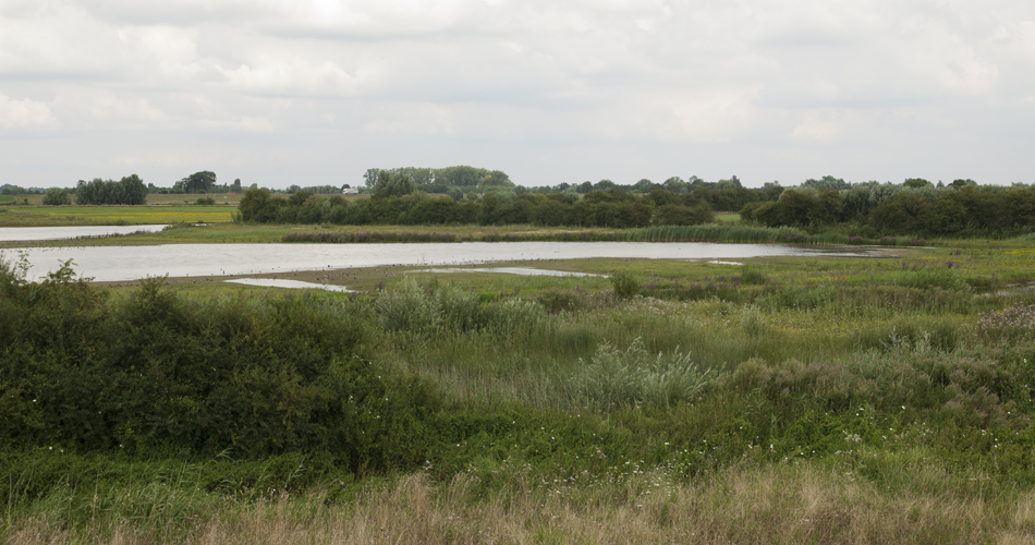 Plexwood® Corporate views on social responsibility, respect for people and environment