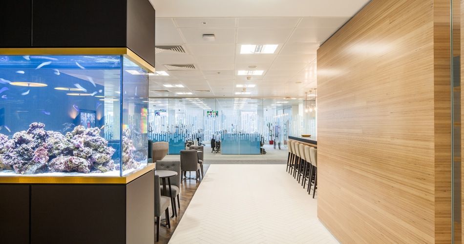 Plexwood® The Mako Group Offices wall detail in natural beech eco edge ply surfacing materials