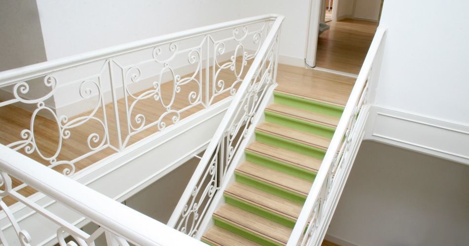 Plexwood® Movement marketing agency hip and colourful birch hardwood flooring and birch staircase treads