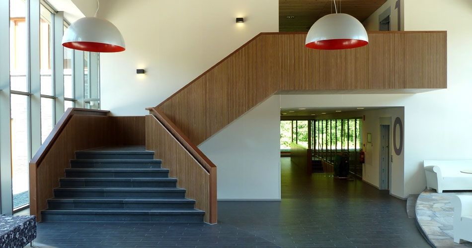 Plexwood® Parnassia Psychiatric Hospital staircase and balustrade in meranti remodelled veneer plywood